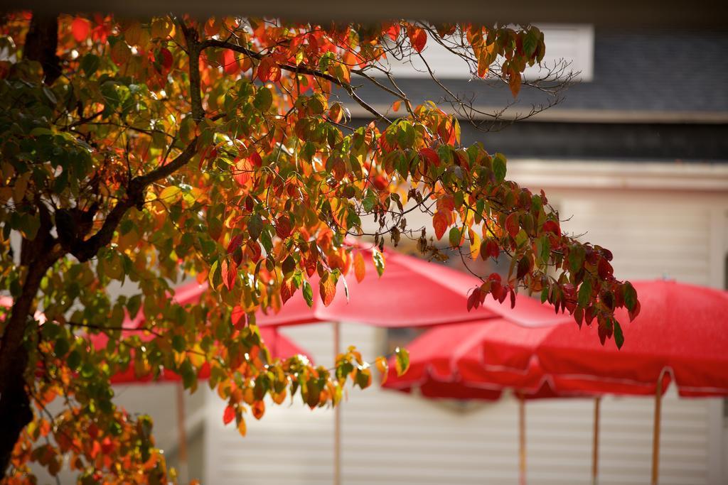 The Red Lion Inn Stockbridge Buitenkant foto